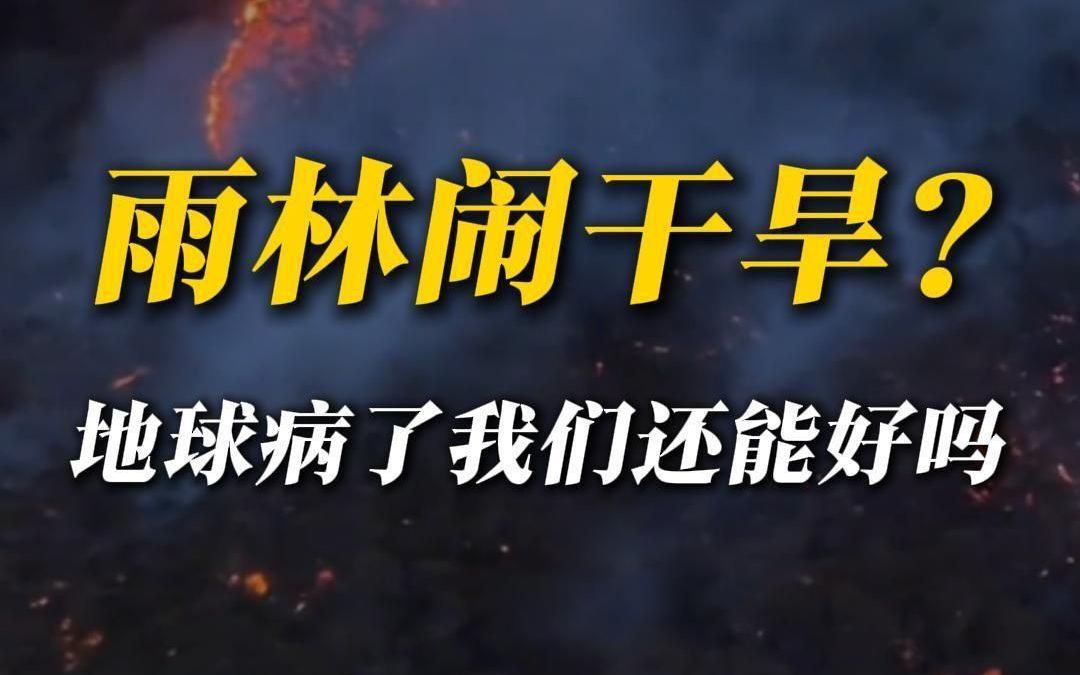 气候变暖雨林消亡，中国能独善其身吗？