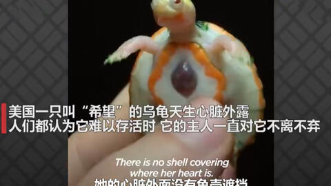 af7c275c548397a79d7cc16704a9a6caa2daa2cd.jpg@480w_270h_1c