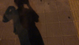 af7f3f4e8d75de287eb458eafa260f592c48d3b4.jpg@280w_158h_1c_100q.jpg