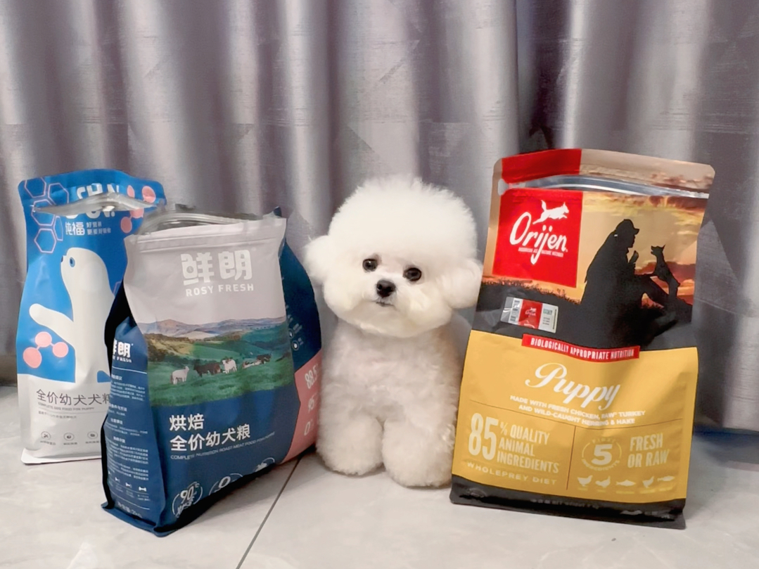 幼犬粮推荐❗️新手可以直接抄作业啦❗️