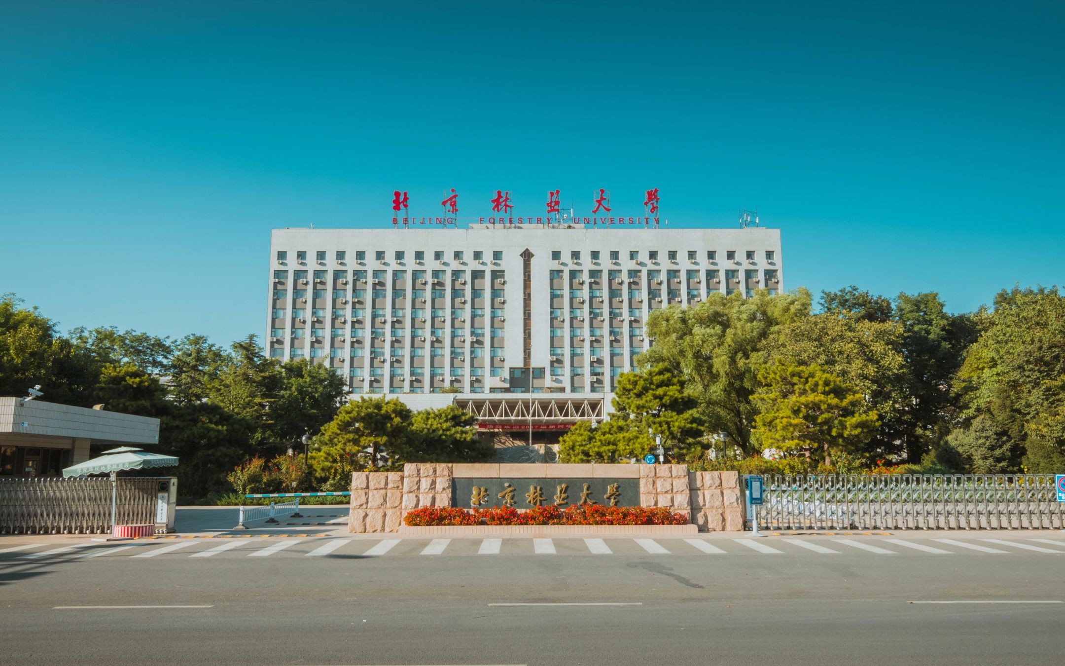 北京林业大学校庆65周年纪念片