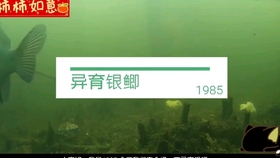 up什么意思中文翻译 afaf5cf110d967d5ea23d29d670e710a05af7dbf.jpg@280w_158h_1c_100q.jpg