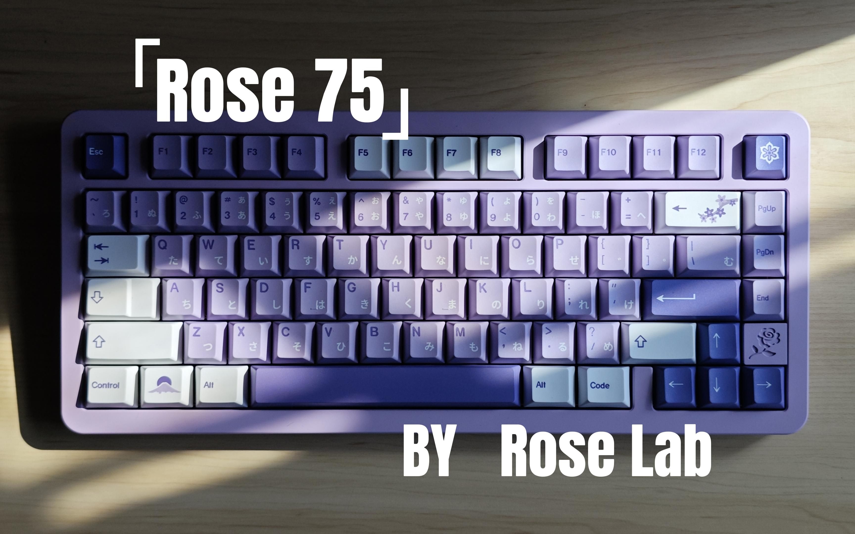 「Rose Lab Rose 75」紫色搭配 | Cat keys 紫藤键帽 | 打字音纯享