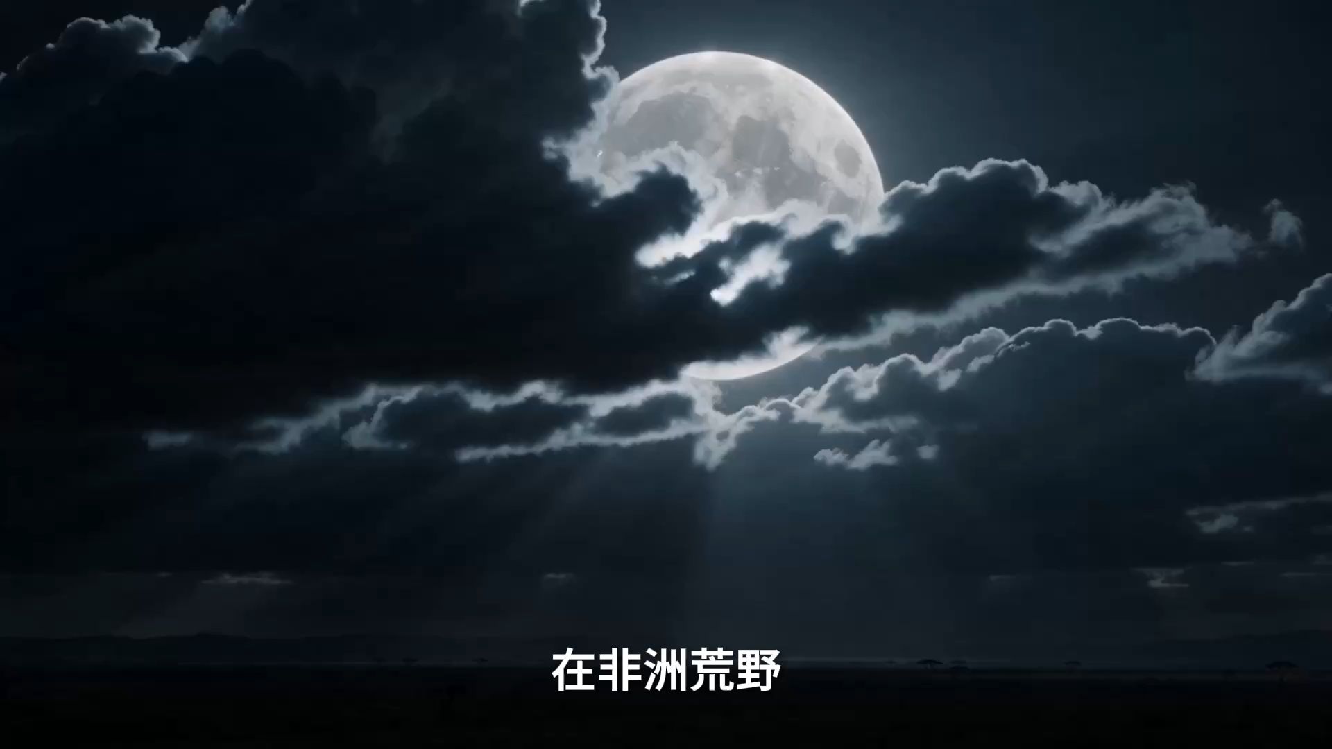 你的睡眠，甚至不如早期古猿，生物主权是如何被现代文明异化的