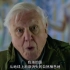 中文 英文 俄文字幕《大卫·爱登堡：地球上的一段生命旅程 David Attenborough A Life on Ou