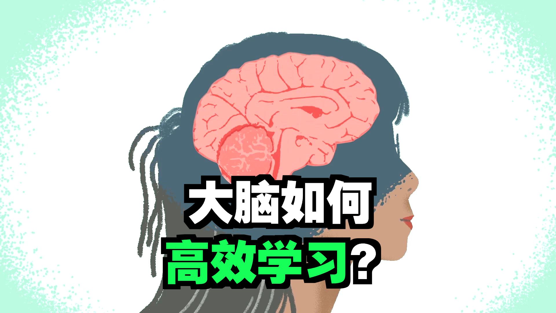 如何有效学习的三个技巧？【TED-Ed】