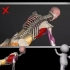 从解剖学角度告诉你，如何才能做一个标准的俯卧撑