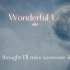 【歌曲欣赏】《Wonderful U》动态歌词版.mp4