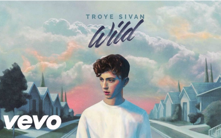 【Troye Sivan】 WILD (Scout & Grey Remix)哔哩哔哩 (゜゜)つロ 干杯~bilibili