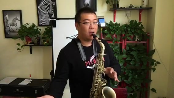 萨克斯指法教学视频