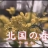 【好听的日语歌】北国之春