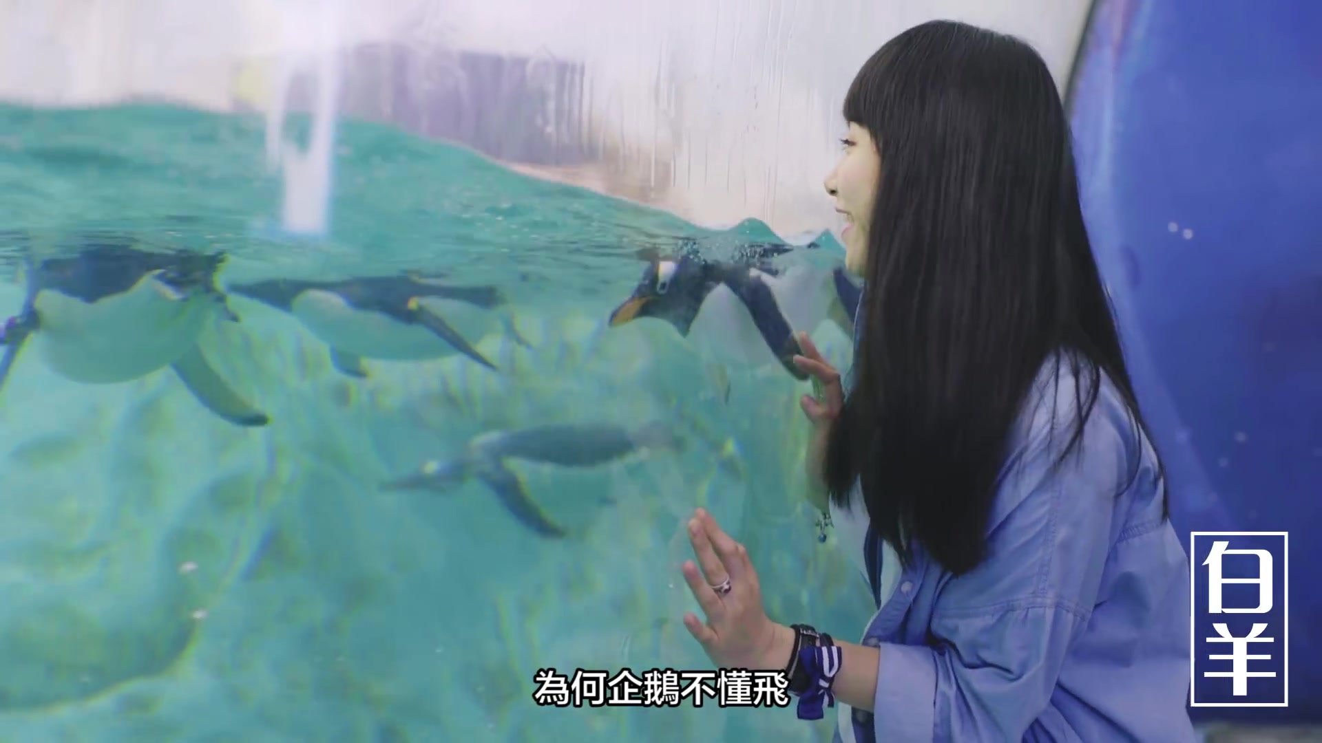 【BOMBA笨吧】約會12星座女生
