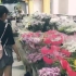 【两三枝儿】带你逛北京知名花卉市场 东风国际花卉市场