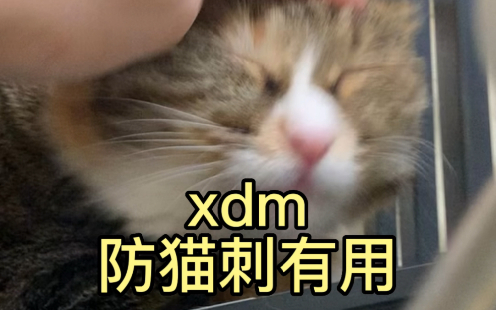 xdm防猫刺有用