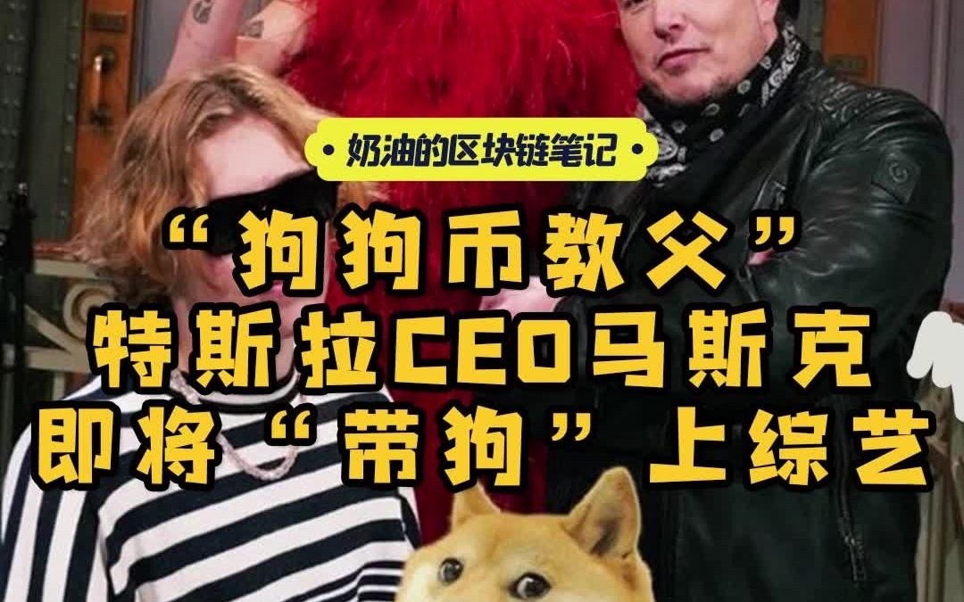 狗狗币教父特斯拉ceo马克斯带狗上综艺啦奶油的区块链笔记