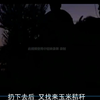 兔子急了也咬人，欺人太甚，老实人也会怒而挥刀！完结