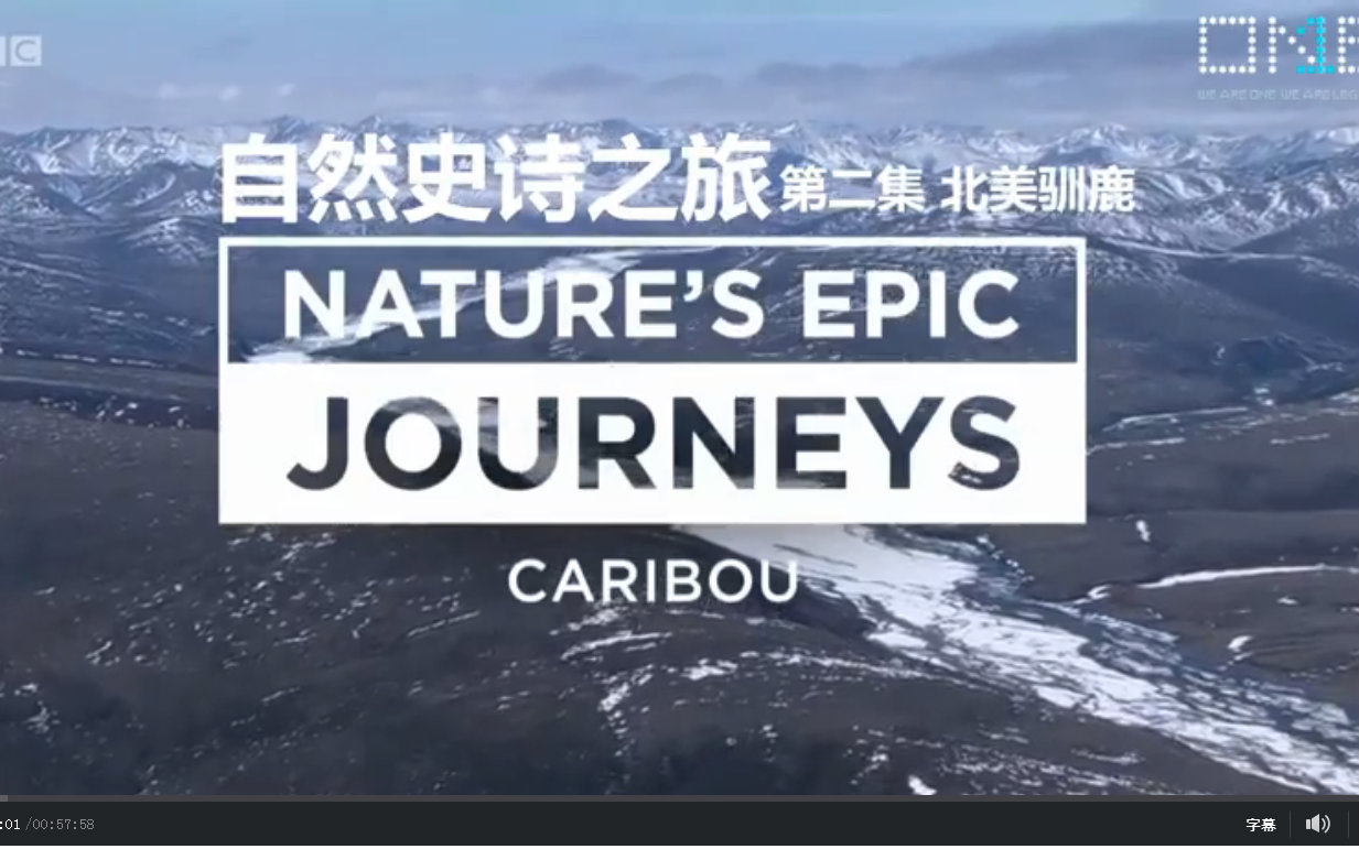 【bbc纪录片】自然史诗之旅02北美驯鹿【中英字幕】