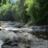 空镜头视频素材 森林溪流流水 素材分享