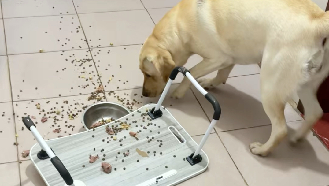 不是自己按的不吃