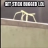 外网新梗-竹节虫摇“Get Stick Bug Lol”视频合集