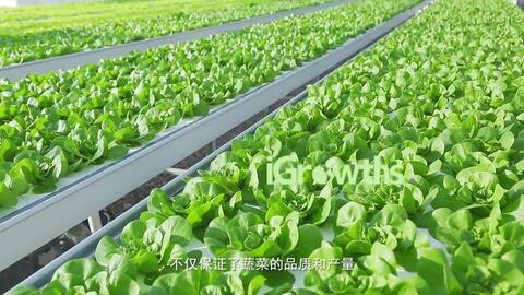 b09015abfb5667f722e729f37b3cdb166a8c7f8a.jpg@480w_270h_1c