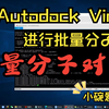 使用Autodock Vina进行批量分子对接——批量分子对接