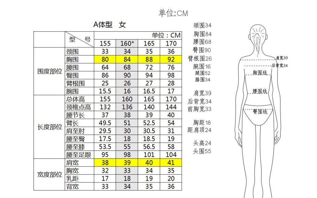 【服装制版教学】人体尺码基础知识