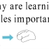 Learning Styles & Multiple Intelligences- Theory Integration