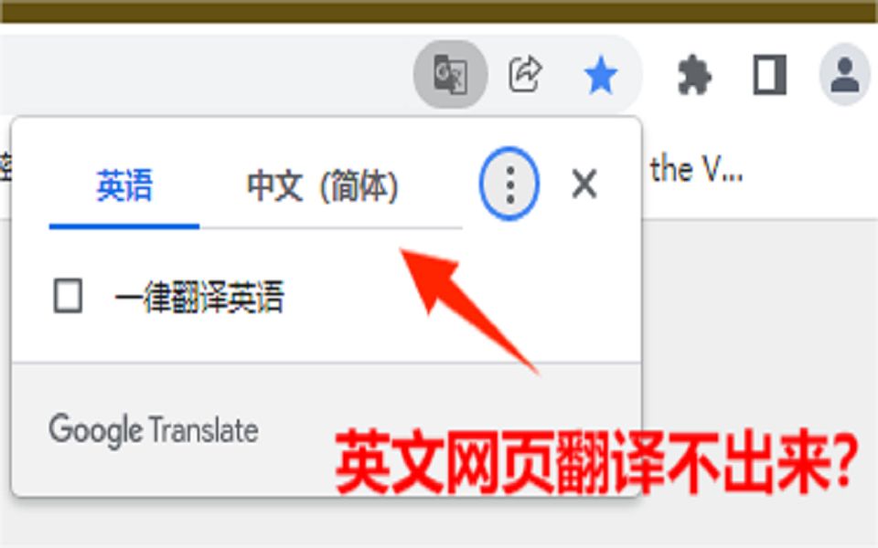 英文网页看不懂？网页实时翻译打不开？来把谷歌网页翻译修复好！！！