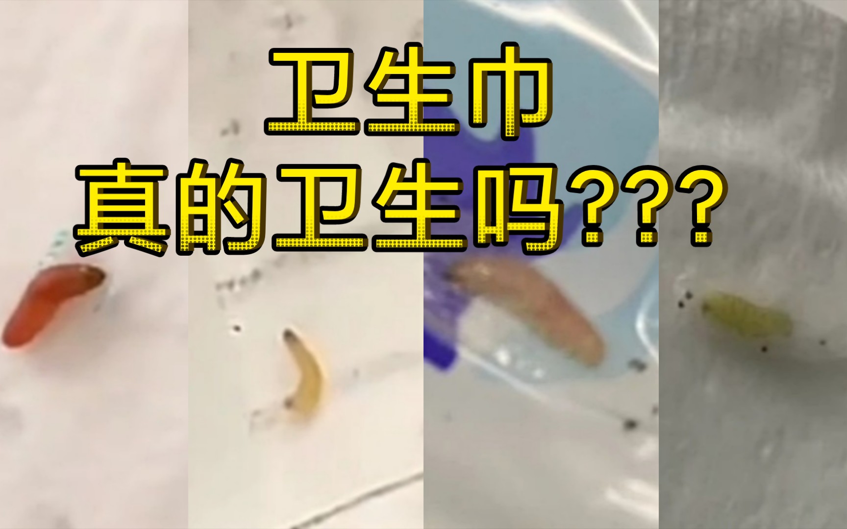 14位网友反映护舒宝液体卫生巾有虫卵或者有污渍请护舒宝液体卫生巾给