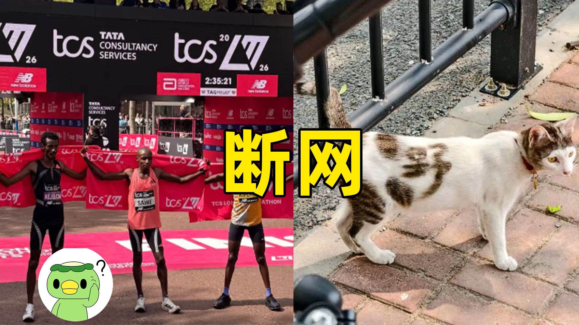 【断网补全计划132】AI生成逼真聊天截图，人类马拉松破2，智商团，野猫，锅气猫，伪豪，自在极意豪，废品少年等