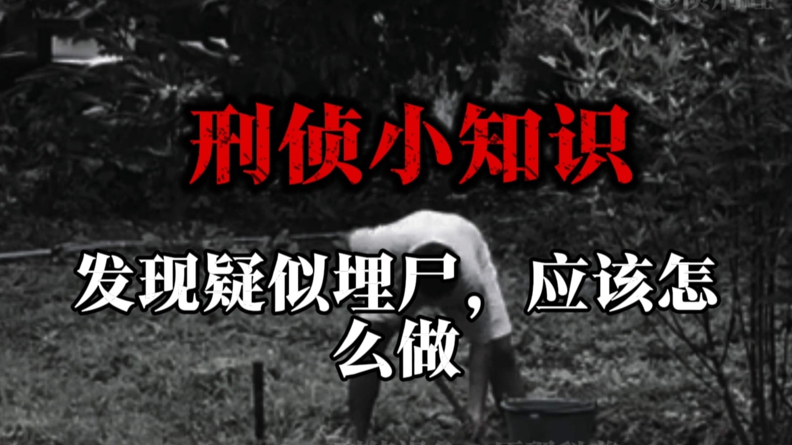 刑侦小知识——深山疑似有人埋尸，应该怎么做