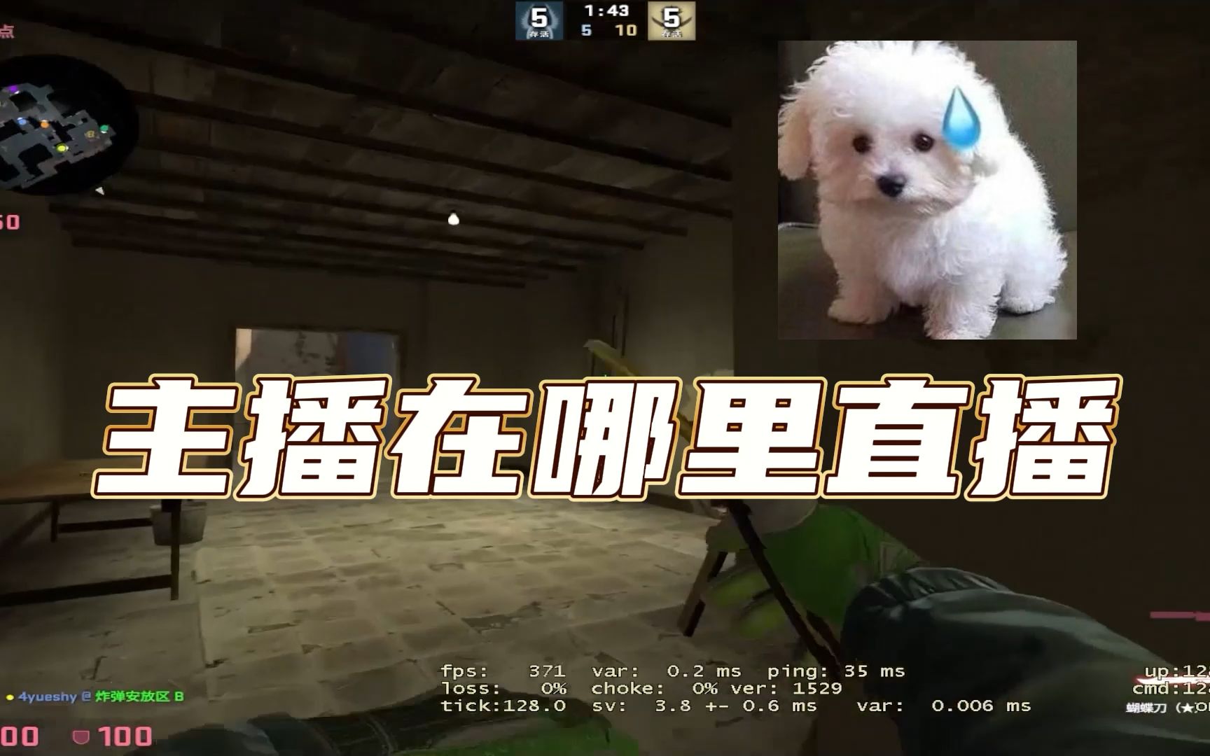 csgo-csgo