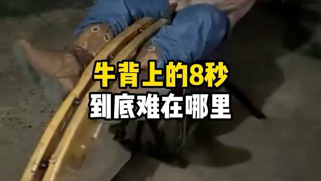 牛背上的8秒，到底有多难？ #牛仔 #斗牛