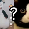 哈 人 兽 装 大 赏