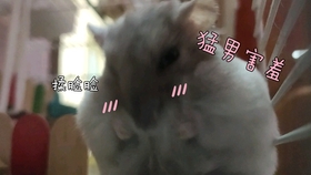 b16a4bcc5372b5be5b0d3dd53d32f6cb3882322d.jpg@280w_158h_1c_100q.jpg