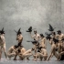 苏黎世芭蕾舞团《冬之旅》全版-Christian Spuck编舞