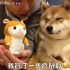 【柴犬Nana(奈奈)】可愛的倉鼠登場！奈奈竟然動手打它？！ - YouTube
