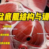 没人能拒绝一个强壮的盆底肌