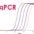 【实验】qPCR原理，实时荧光定量PCR ，SYBRgreen法，Taqman探针法区别