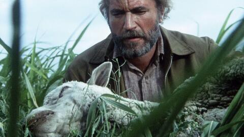 科学探索发现 b1affbf89e7c3ef226503fdb9bcd4d33404f0af1.jpg@480w_270h_1c