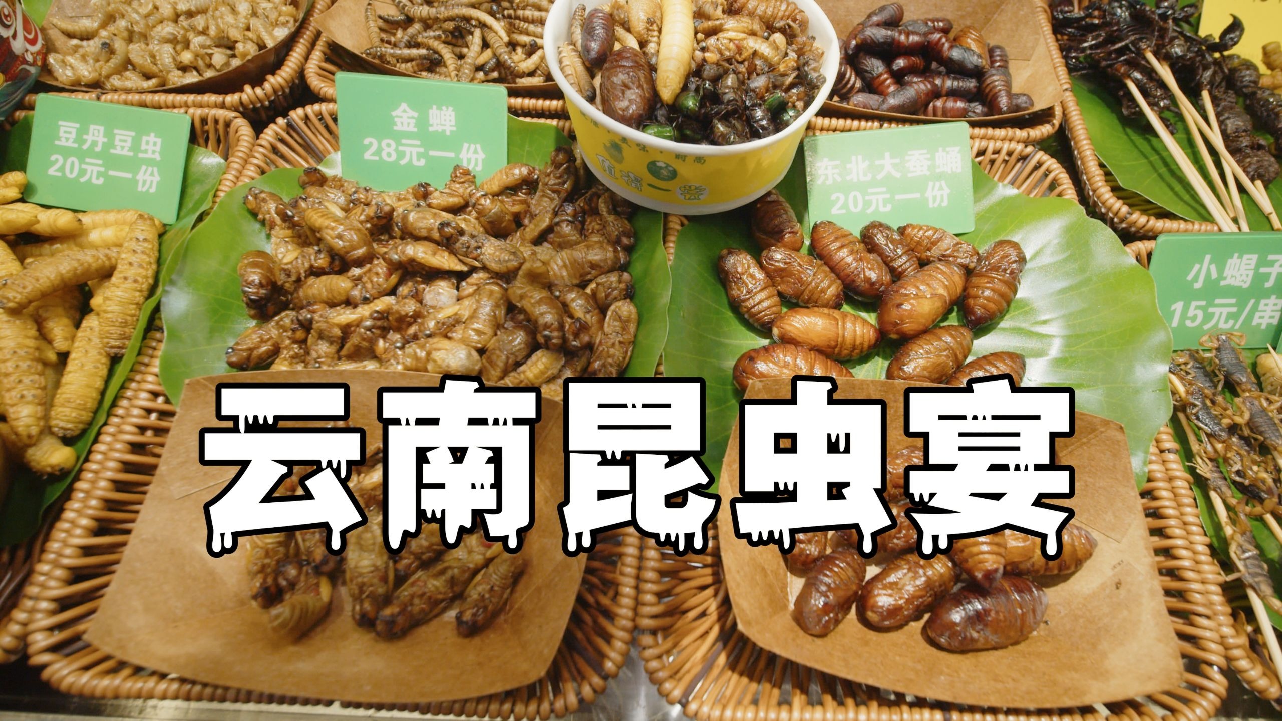 云南昆虫宴避坑指南：这些虫最好吃！