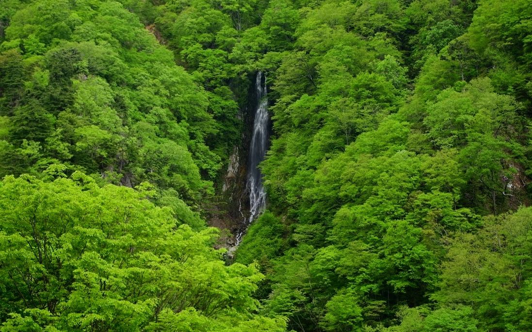 【超清日本】第一视角 新绿秀丽的松川溪谷 八滝瀑布 (4K超清版) 2021.5