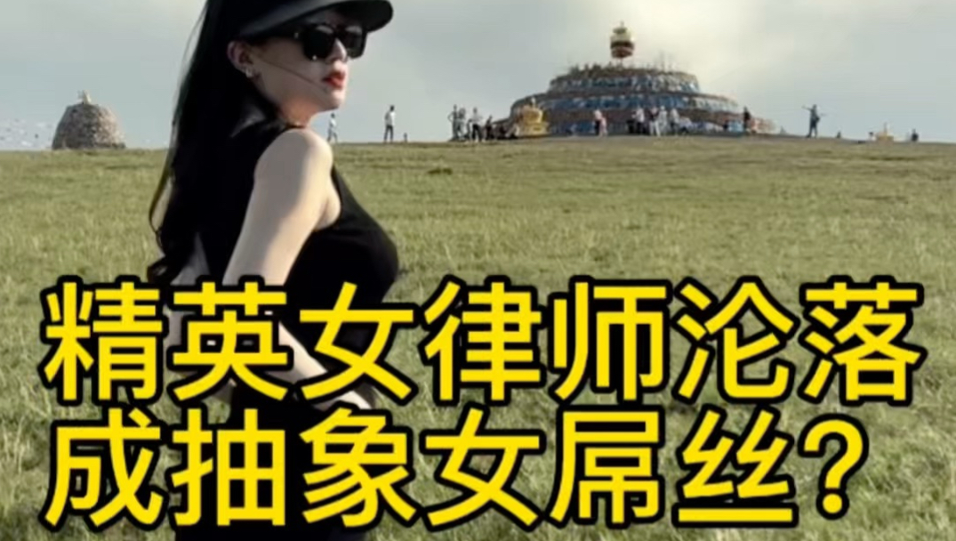 我是怎么从精英女律师沦落成抽象女屌丝的？