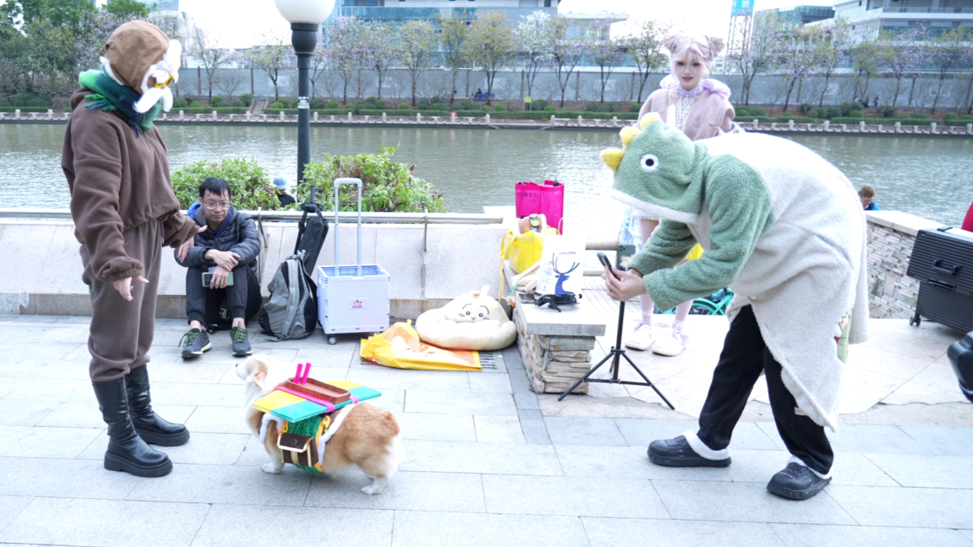 【Black Dragonfly Comic Con Pranks】- The dog seems to be saying: What the heck are you doing?