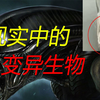 现实中的变异生物，你见过几个