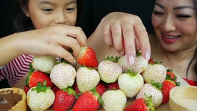 宝宝几个月可以吃水果之类的东西 b23d6181d9027a1b033e334a1ecb0131f4be7acf.jpg@280w_158h_1c_100q.jpg