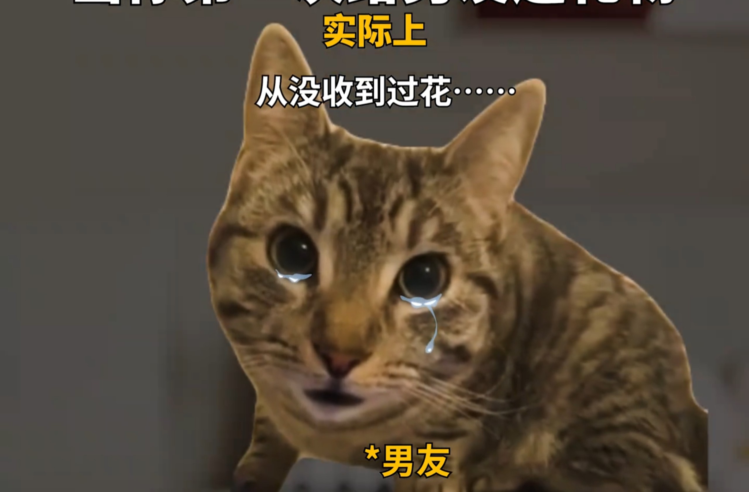 当你第一次给男朋友送礼物时