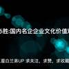 中国必胜:国内名企企业文化价值观汇总(美团，小米，京东，联想，华为，大疆，海康威视，腾讯，中兴，百度，海尔
