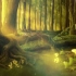 【中世纪凯尔特音乐-1】绿树成荫 曲径通幽 恍如进入林间秘境